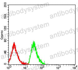 Anti-EDA2R Antibody (R4A09)