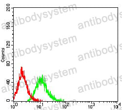 Anti-TNFRSF19 Antibody (R4A10)
