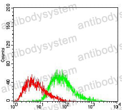 Anti-PPARGC1B Antibody (R4A17)