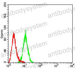 Anti-BAG1 Antibody (R4A40)
