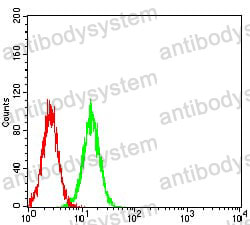 Anti-BAG1 Antibody (R4A39)