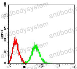 Anti-BCL11B Antibody (R4A41)