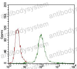 Anti-PPP1R1B Antibody (R4A44)