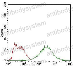 Anti-EIF2A Antibody (R4A47)