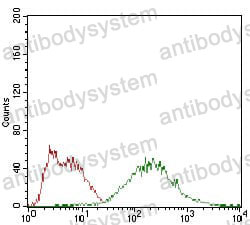 Anti-EIF2A Antibody (R4A46)