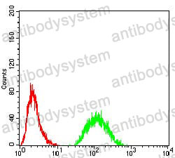 Anti-JARID2 Antibody (R4A48)