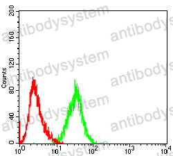 Anti-ULK3 Antibody (R4A54)