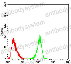 Anti-MTDH Antibody (R4A59)