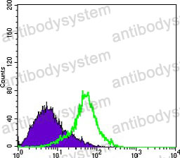 Anti-MTDH Antibody (R4A57)