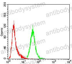 Anti-P2RY13 Antibody (R4A61)