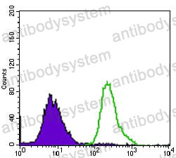 Anti-P2RY13 Antibody (R4A60)