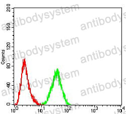 Anti-PELP1 Antibody (R4A65)