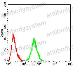 Anti-PELP1 Antibody (R4A64)