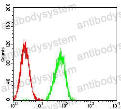 Anti-HAS1 Antibody (R4A88)