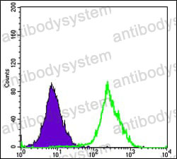 Anti-FCSK/FUK Antibody (R4A94)