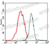 Anti-BPIFA2 Antibody (R4A99)