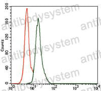 Anti-BPIFA2 Antibody (R4B02)