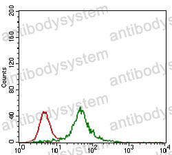 Anti-ZFP42 Antibody (R4B09)