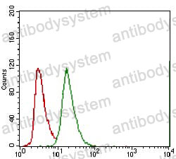 Anti-ABCG5 Antibody (R4B10)