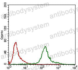 Anti-KHDRBS2 Antibody (R4B15)