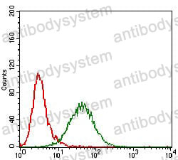 Anti-GAB2 Antibody (R4B16)