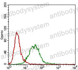Anti-CTNNBL1 Antibody (R4B17)