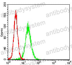 Anti-CTNNBL1 Antibody (R4B18)