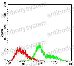 Anti-TUBE1 Antibody (R4B21)