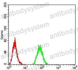 Anti-RAB11FIP1 Antibody (R4B28)