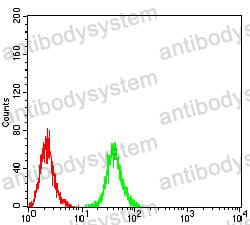 Anti-RAB11FIP1 Antibody (R4B29)