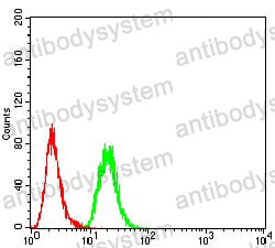 Anti-KDM5B Antibody (R4B30)
