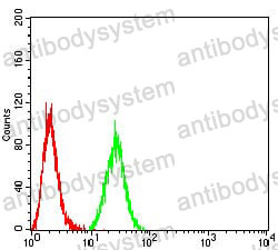 Anti-KDM1B Antibody (R4B31)