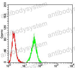 Anti-PRDM5 Antibody (R4B32)