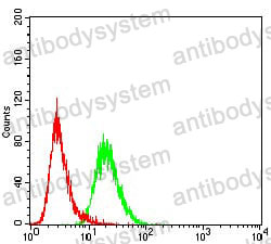 Anti-KDM2B Antibody (R4B34)