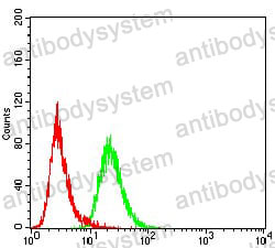 Anti-KDM2B Antibody (R4B35)