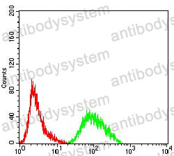 Anti-PRDM4 Antibody (R4B36)
