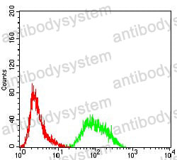 Anti-PRDM4 Antibody (R4B37)