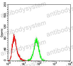Anti-ULK2 Antibody (R4B39)