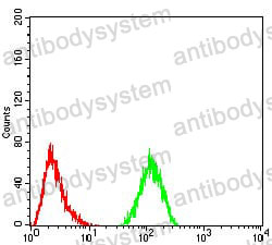 Anti-CFHR5 Antibody (R4B40)