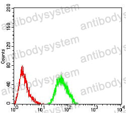 Anti-CFHR5 Antibody (R4B41)