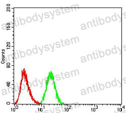 Anti-PRDM14 Antibody (R4B42)