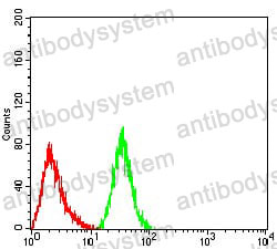 Anti-PRDM14 Antibody (R4B43)