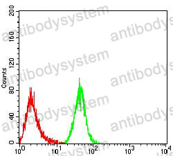 Anti-MOB1A Antibody (R4B44)