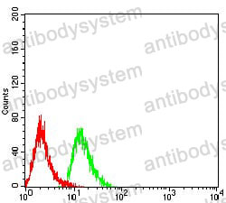 Anti-MOB1A Antibody (R4B45)