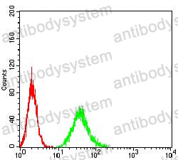 Anti-DAPP1 Antibody (R4B48)