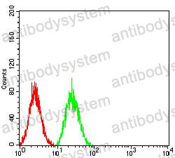 Anti-VIMP/SELENOS Antibody (R4B50)