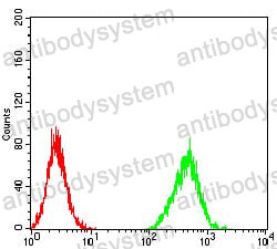 Anti-ZFP91 Antibody (R4B52)