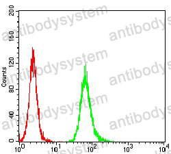 Anti-ANAPC11 Antibody (R4B54)