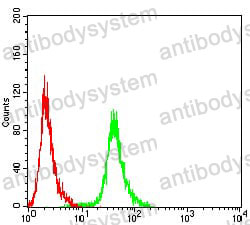 Anti-ANAPC1 Antibody (R4B57)