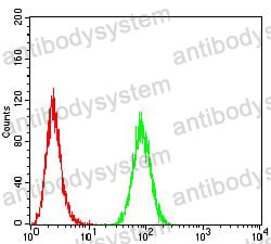 Anti-ANAPC1 Antibody (R4B58)